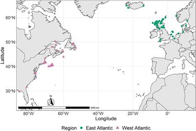 Stable Isotope Analysis of Specimens of Opportunity Reveals Ocean-Scale Site Fidelity in an Elusive Whale Species